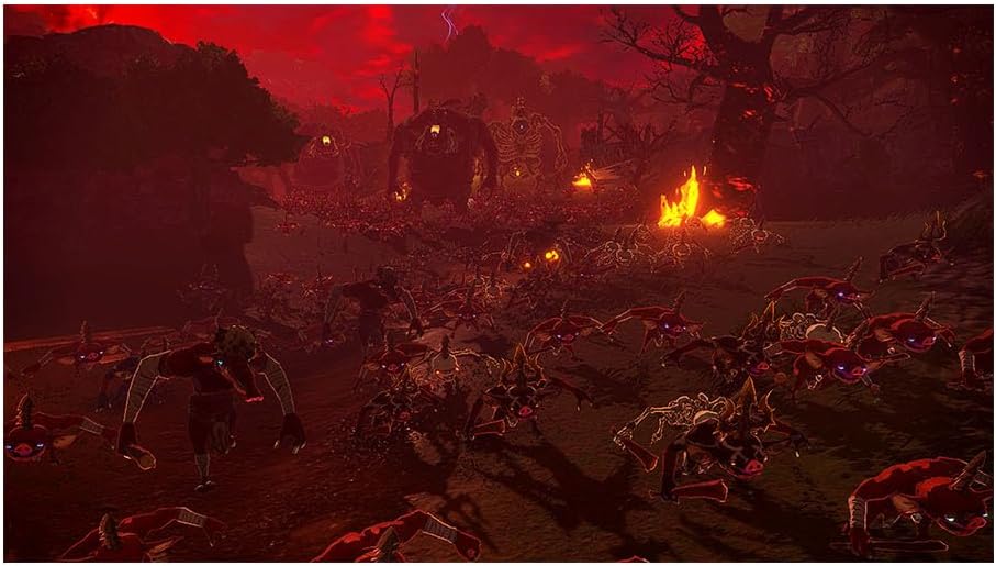 Hyrule Warriors: Age of Imprisonment (Nintendo Switch 2)