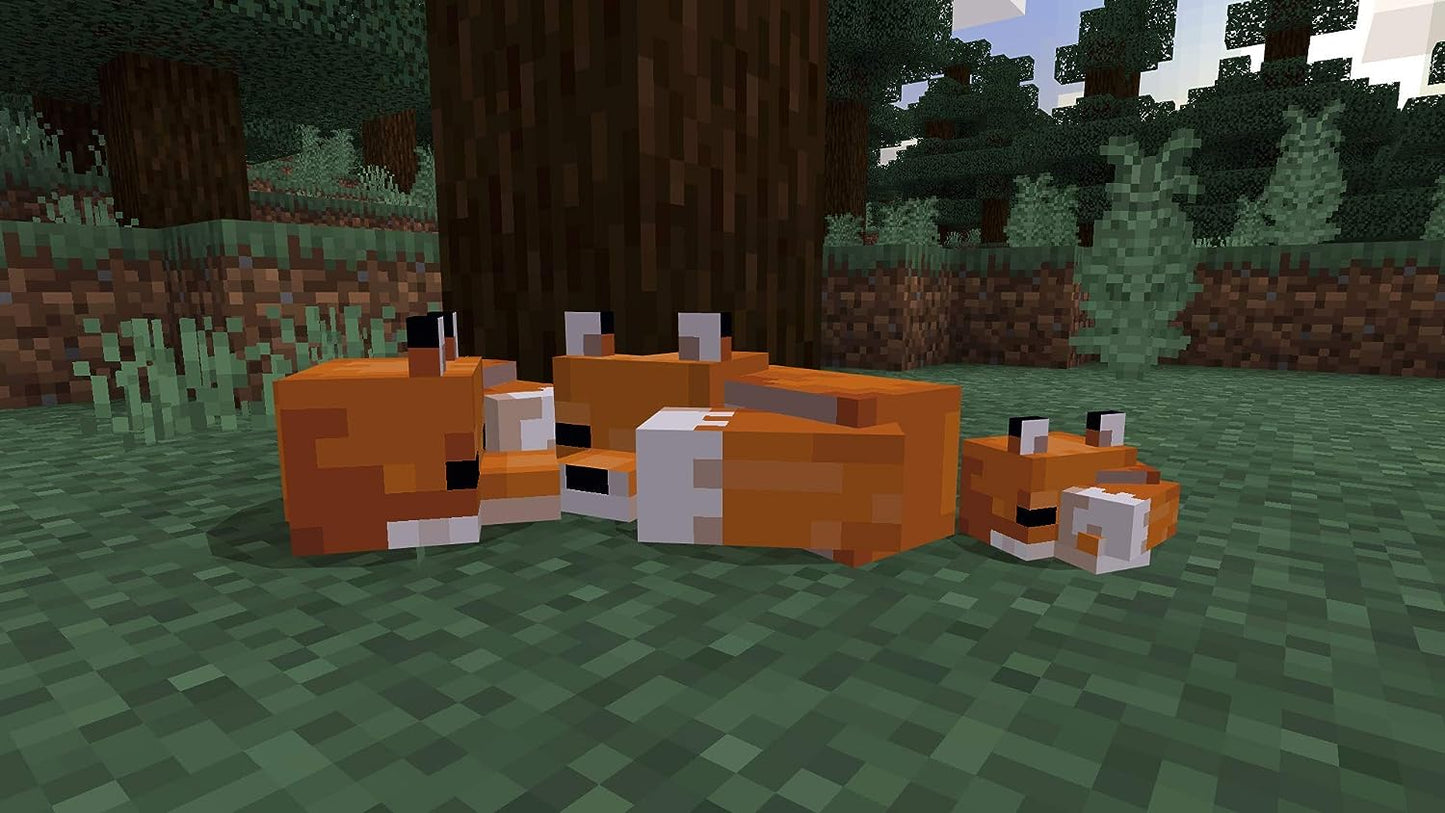 Minecraft Starter Collection