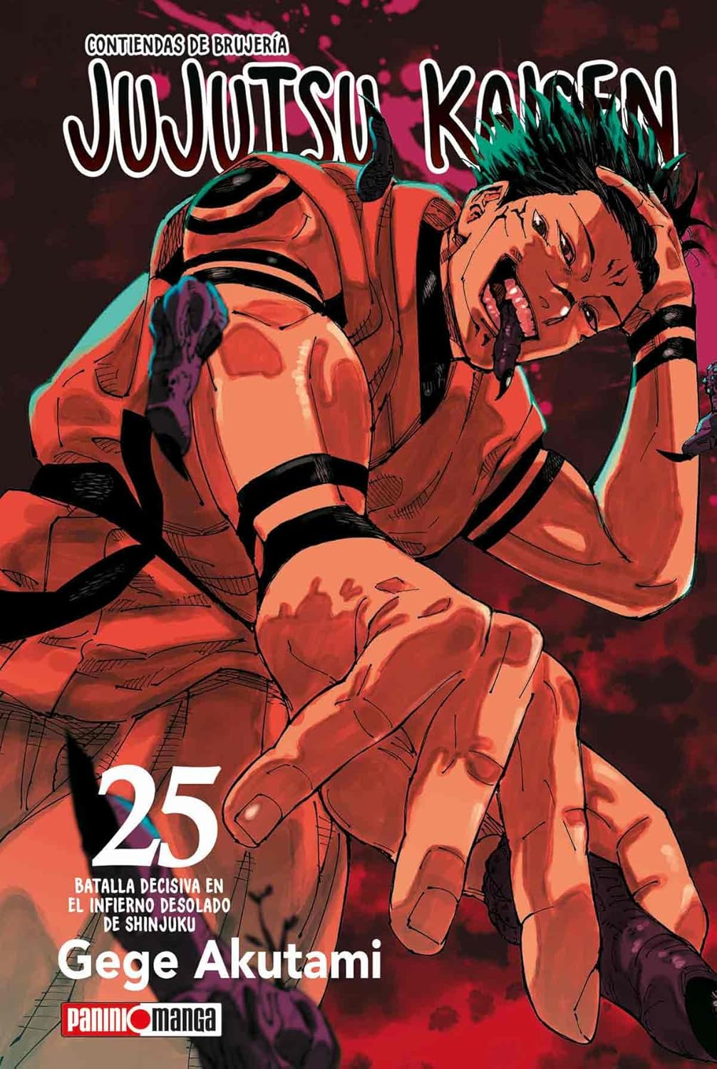 JUJUTSU KAISEN N.25