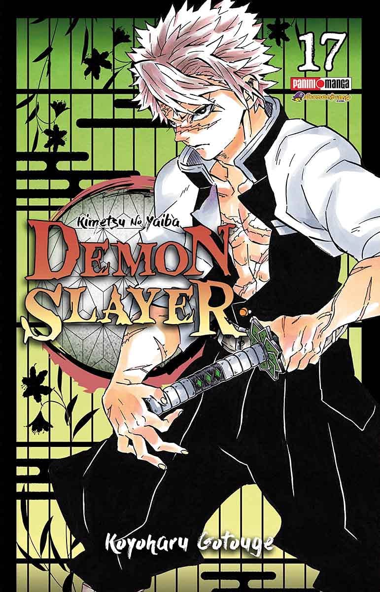DEMON SLAYER N.17