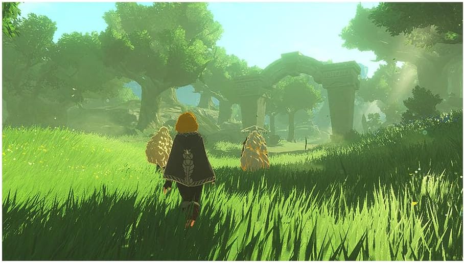 Hyrule Warriors: Age of Imprisonment (Nintendo Switch 2)